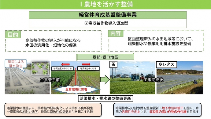 経営体育成基盤整備事業の（7）高収益作物導入促進型についての説明