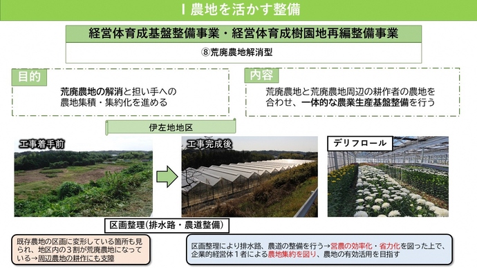 経営体育成基盤整備事業・経営体育成樹園地再編整備事業の（8）荒廃農地解消型についての説明