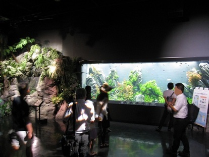 過去の教育旅行視察調査の様子(沖縄)