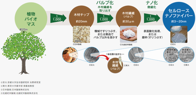 写真7　植物バイオマスからCNFができるまで