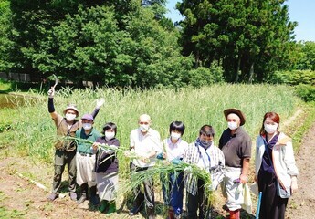 写真3　茅野の麦畑