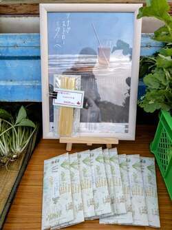 写真4　商品開発した麦ストロー