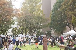 写真：サンプル