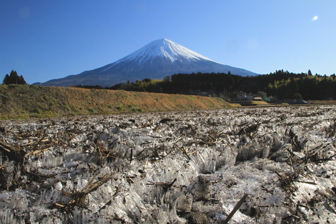 令和6年度県議会だより写真コンクール 冬の部特選「寒い朝」