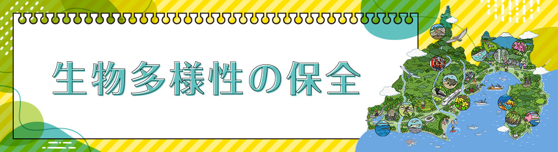 生物多様性の保全