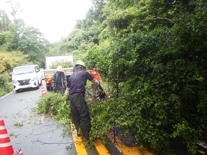 倒木処理の写真