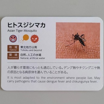 写真：杉山メディアサポート株式会社