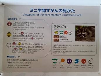 写真：杉山メディアサポート株式会社