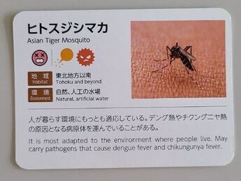 写真：杉山メディアサポート株式会社