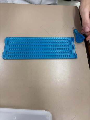 写真：藤枝順心高等学校