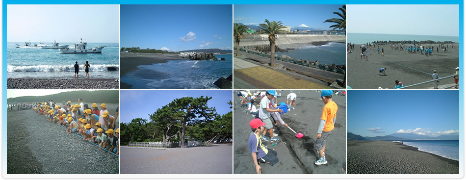 静岡海岸のさまざまな写真