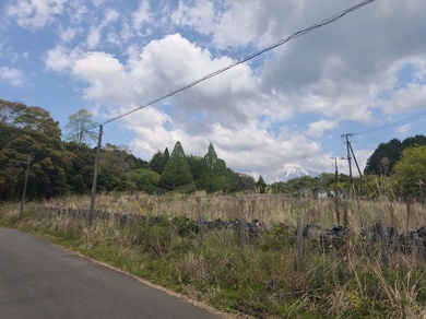 写真:富士市今宮