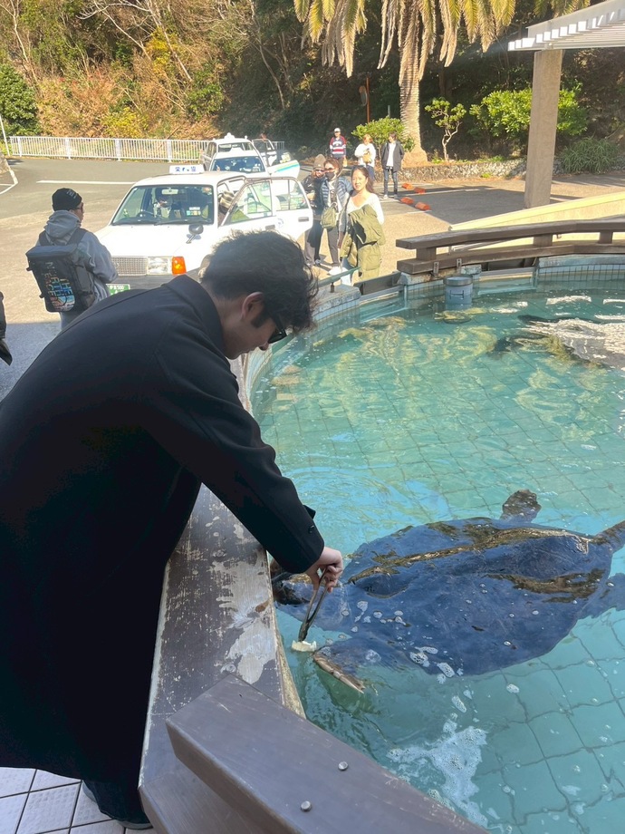 ウミガメの写真