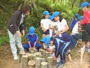 写真：遊木の森2