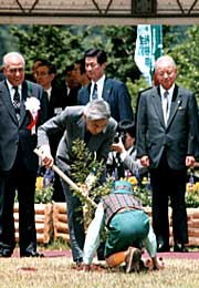 写真：第50回全国植樹祭1