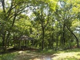 写真：田中山悠久の森