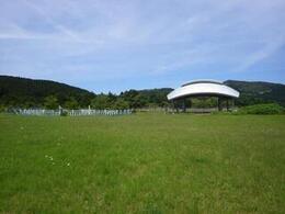 写真：あまぎの森