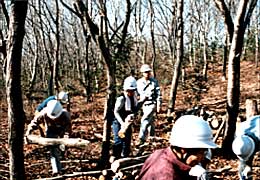 写真：田中山の写真