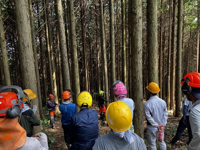 かかり木処理現場実習1