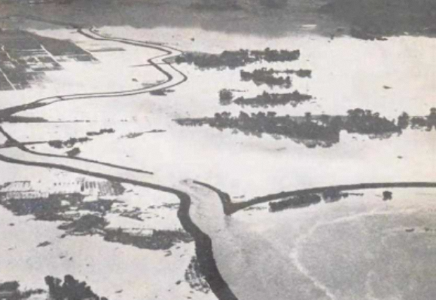 泥海と化した函南村（現函南町）の水田