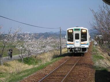 写真:天浜電車正面