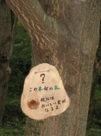 写真：ネームプレート