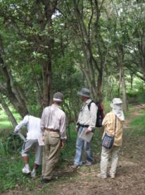 写真：樹木の選定
