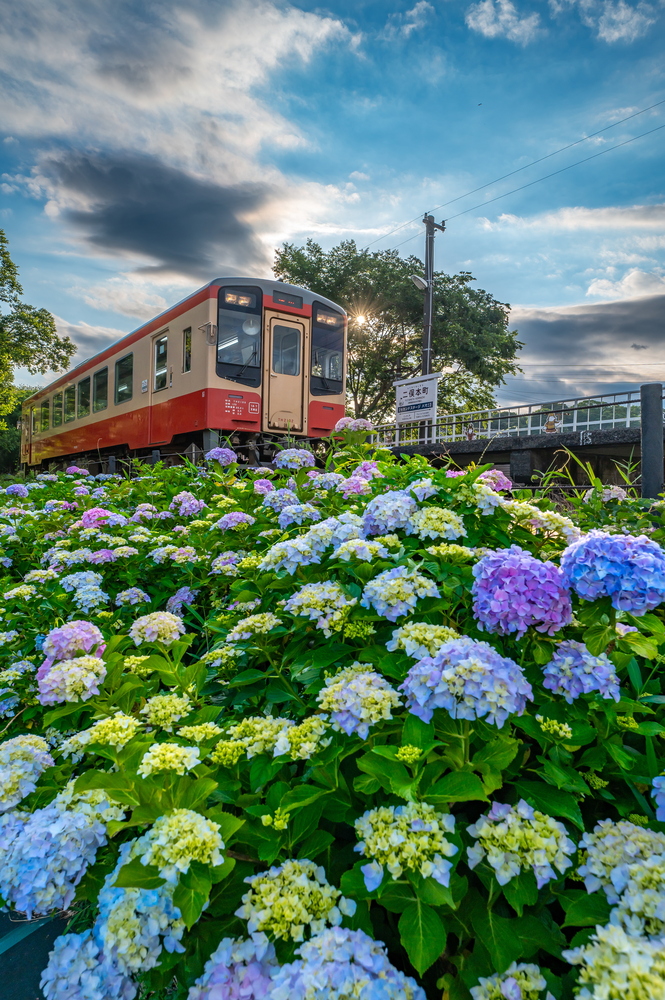 佳作　二俣本町駅
