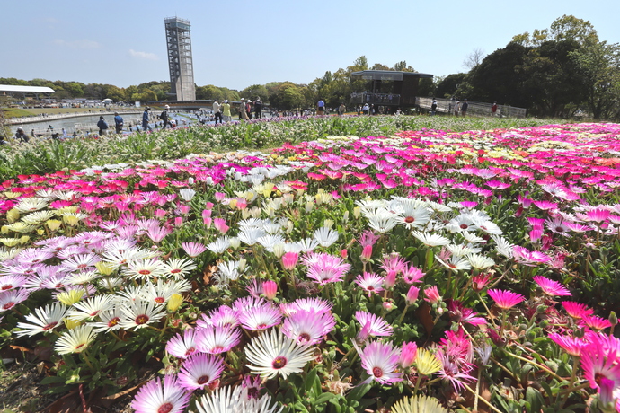 写真：春の部特選