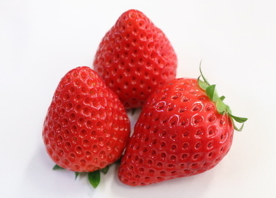 高温耐性品種「静岡16号」の写真