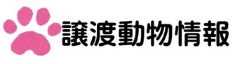 譲渡動物情報