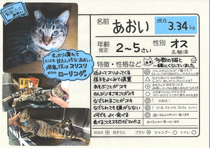 あおい