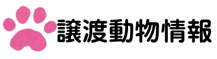 譲渡動物情報