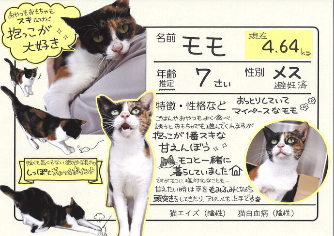 もも（外部リンク・新しいウィンドウで開きます）