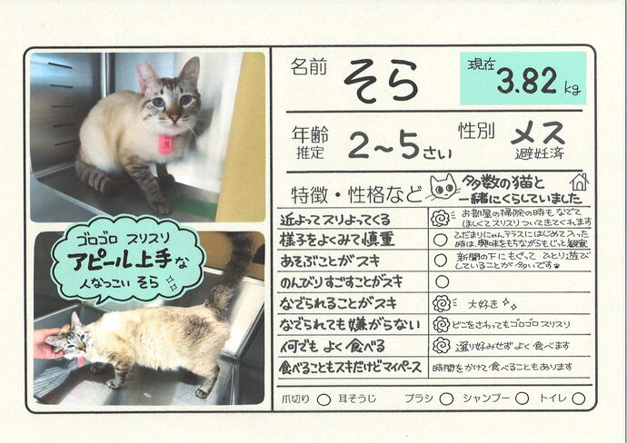そら