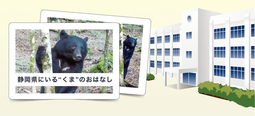 静岡県にいるくまのおはなし