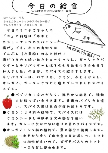 画像：「今日の給食」だより