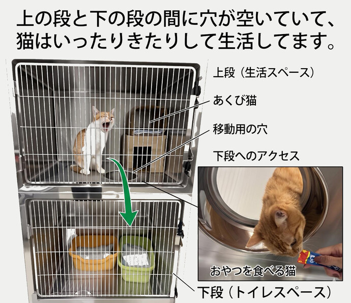 猫飼育室