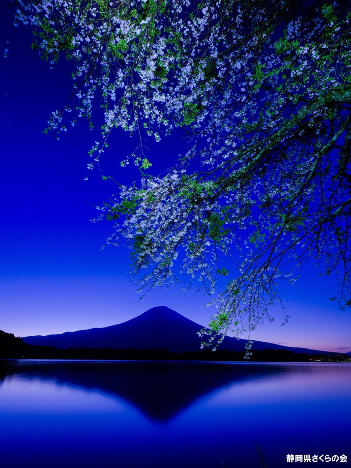 写真:最優秀賞
