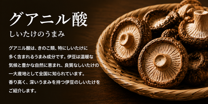 “グアニル酸” しいたけのうまみ~伊豆の自然が育む味わいを知る~