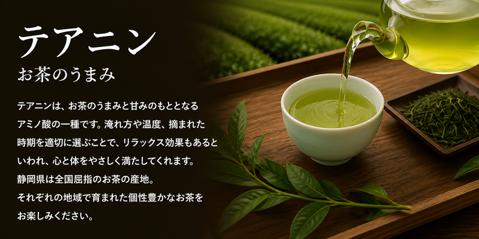 お茶のうまみテアニン