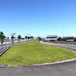 写真：クラピアを用いた緑化防草工法