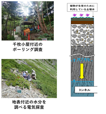 調査の様子