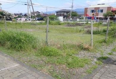 写真　沼津市今沢
