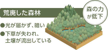 荒廃した森林についての解説イラスト。「荒廃した森林」「森の力が低下」「光が届かず、暗い」「下草が失われ、土壌が流出している」