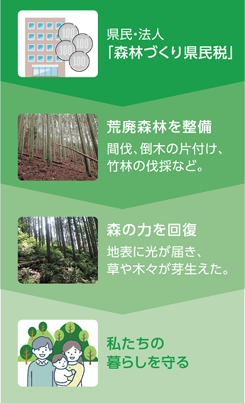 森林づくり県民税の流れについての解説イラスト。「県民・法人『森林づくり県民税』」「荒廃森林を整備 間伐、倒木の片付け、竹林の伐採など。」「森の力を回復 地表に光が届き、草や木々が芽生えた。」「私たちの暮らしを守る」という流れ