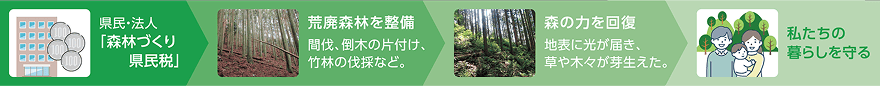 森林づくり県民税の流れについての解説イラスト。「県民・法人『森林づくり県民税』」「荒廃森林を整備 間伐、倒木の片付け、竹林の伐採など。」「森の力を回復 地表に光が届き、草や木々が芽生えた。」「私たちの暮らしを守る」という流れ