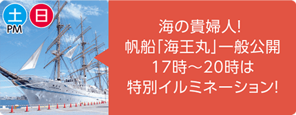 土曜午後・日曜 海の貴婦人！帆船「海王丸」一般公開 17時から20時は特別イルミネーション！岸壁に停泊する白い帆船「海王丸」の写真。
