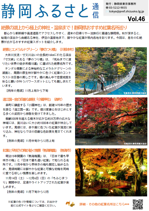 静岡ふるさと通信 44号1ページ目