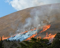 Picture of Mt.Omuroyama